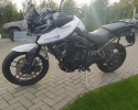Triumph Tiger XR 800