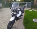 Triumph Tiger XR 800