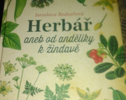 Herbář aneb od andělinky k zindave