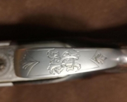 Prodám kulobrokovou kozlici ČZ Holek 167