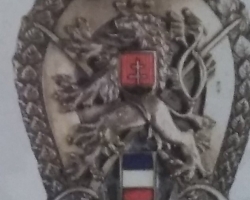 Faleristický materiál odkoupím hotově