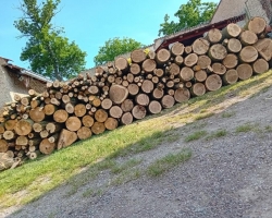 Palivové dřevo 
