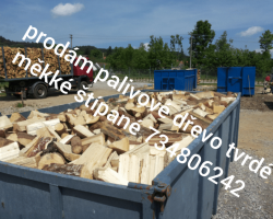 Palivové dřevo 
